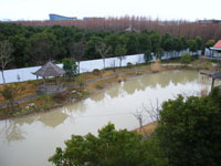 �����Ե�ɭ��